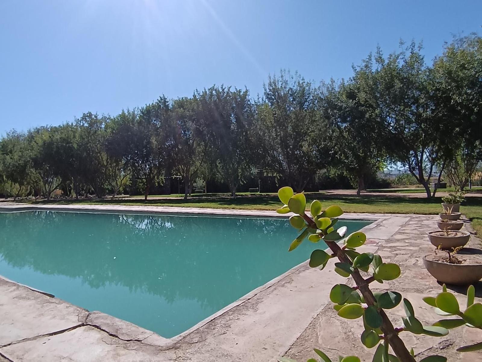 Kwelanga River Lodge Vioolsdrif ภายนอก รูปภาพ